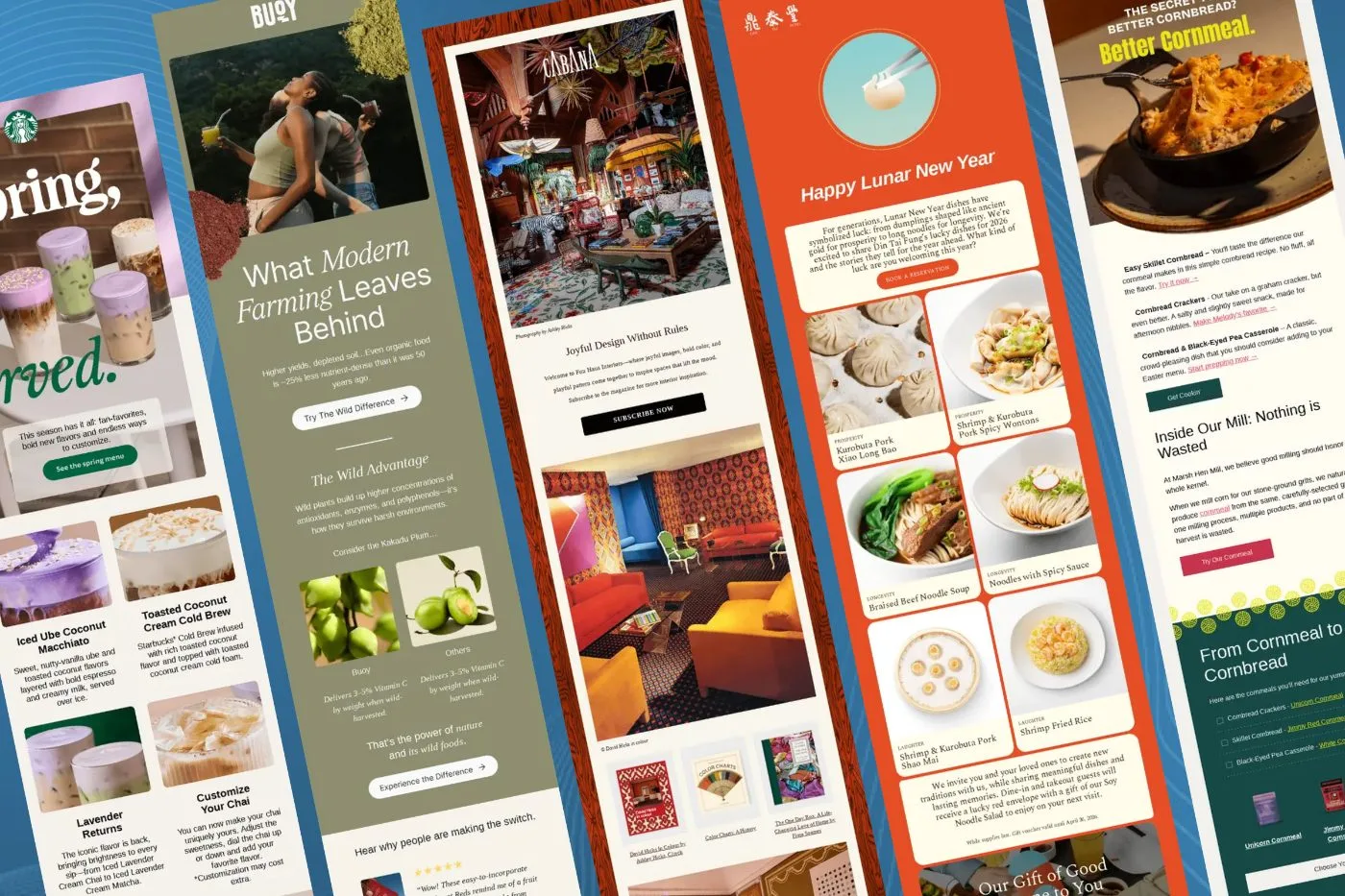 How to Find WINNING Campaign Ideas For Email